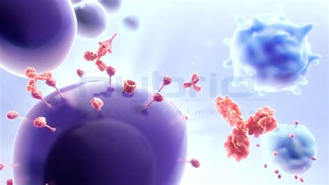 Look And Feel For Targeted Mab Moa Hybrid Medical Animation