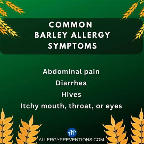 Barley Allergy: What You Need to Know - Allergy Preventions