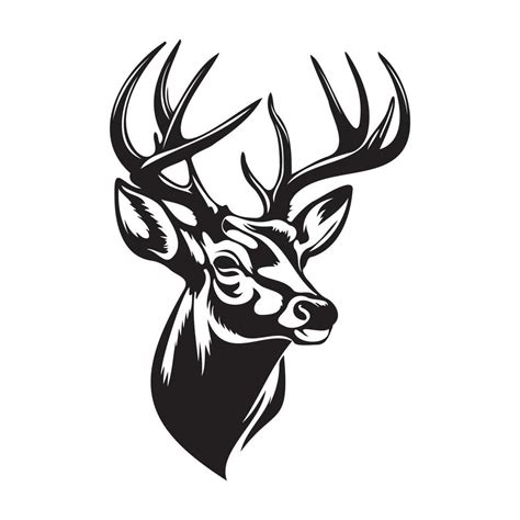 Deer Face, Silhouettes Deer Face SVG, black and white Deer vector ...