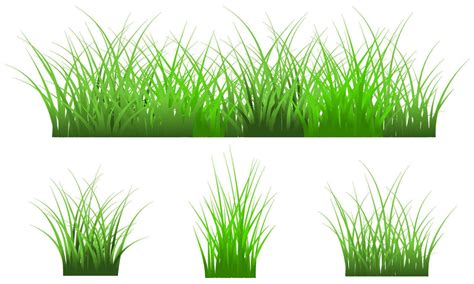 Green Grass Isolated On White Background Free Vector Grass Set 6960063 Vector Art At Vecteezy