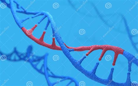 Dna Molecules Structure Of The Genetic Code 3d Renderingconceptual