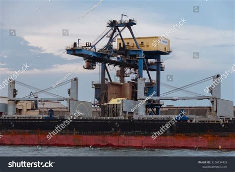 37 imágenes de Termagant - Imágenes, fotos y vectores de stock ...