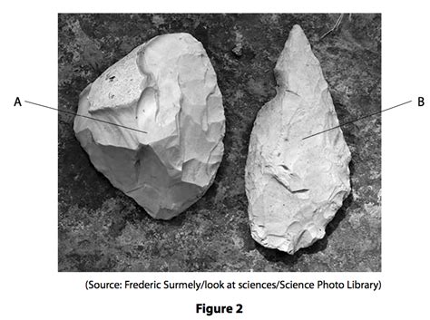 Homo Habilis Tools