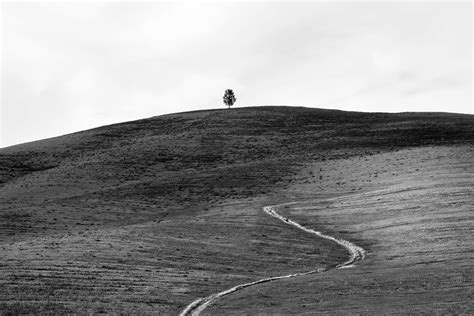 Marco Cattani Il Segno Dell Uomo LensCulture