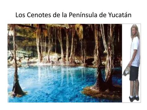 Ppt Los Cenotes De La Pen Nsula De Yucat N Powerpoint Presentation