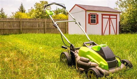 How Often Should You Mow Your Lawn Knowledge Reason