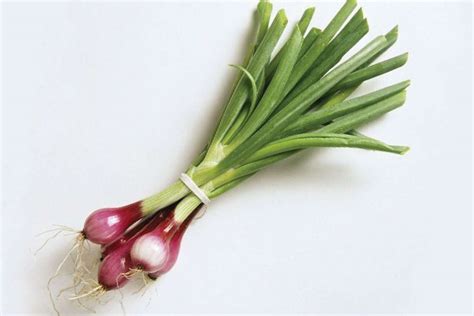 Buy Rossa Di Milano Onions Organic For Delivery Near You Farm To People