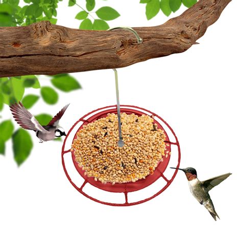 Ctnporpo Bird Feeders Hummingbird Feeders For Outdoors Hanging