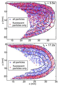 Phase Separation Of A Binary Mixture In A Complex Plasma In The Absence