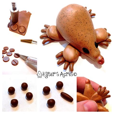 Katersacres A Polymer Clay Animal Tutorial Featuring An Echidna By