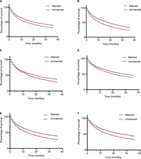 Kaplan Meier Survival Curves Of Overall Survival In Patients With