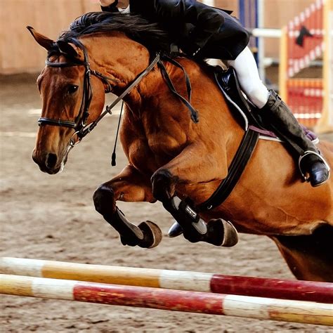 Scaling SEO at Enterprise Companies by Eliminating Obstacles