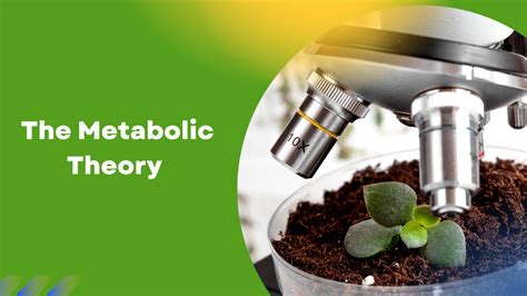 How To Heal Breast Cancer Using The Metabolic Theory Breast Cancer