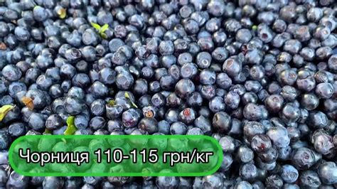 Ціни на літні ягоди🍒🫐 06.07.22 - YouTube
