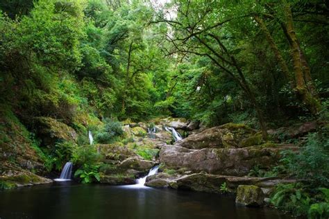 Cinco De Las Cascadas Más Impresionantes De España Que Son Perfectas Para Conocer En El Puente