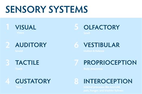 Sensory Processing Enablr Therapy