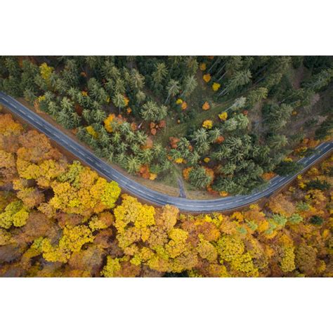 Alpen Home Autumnal Forest Von Ollo Kunstdrucke Auf Leinwand Wayfair De