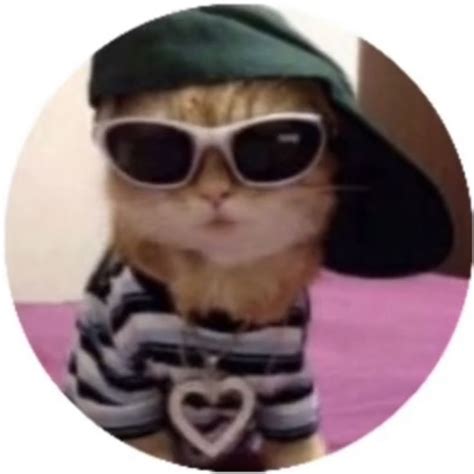 Cute Cat With Sunglasses And Hat