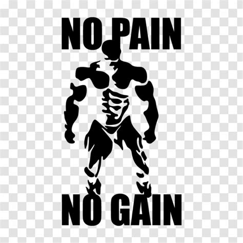 T Shirt Bodybuilding No Pain Gain Fitness Centre Decal Transparent Png