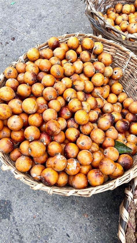 NATURAL BENEFITS OF EATING AFRICAN STAR APPLE AGBALUMO Yes Fm Ibadan