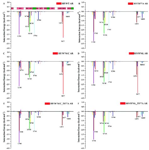 The residue contributions of WT/mutant ARs to HF binding. (A) HF/WT AR ... 