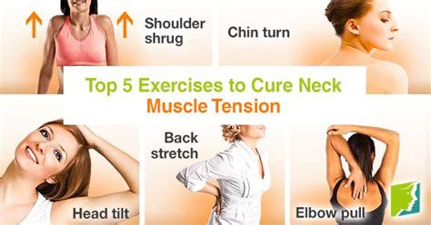 Top 5 Exercises to Cure Neck Muscle Tension | Muscle tension, Muscle ...