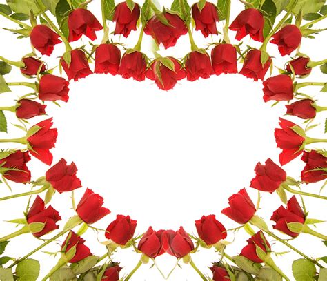 Fondos de Pantalla Rosas Rojo Corazón Flores descargar imagenes