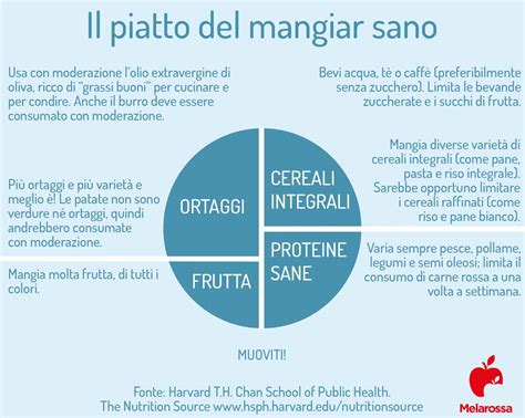 Fegato grasso o steatosi epatica cosè sintomi dieta e cura