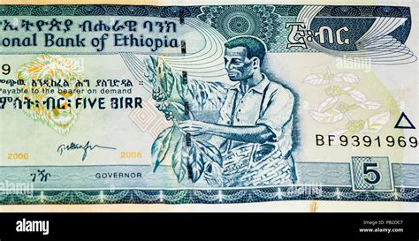 5 Ethiopian birr bank note. Birr is the national currency of Ethiopia ...