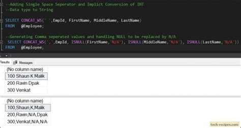 How To Use Concat Ws Function In Sql Server