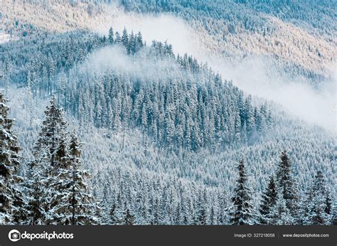 Scenic View Snowy Pine Trees White Fluffy Clouds Mountains — Stock ...