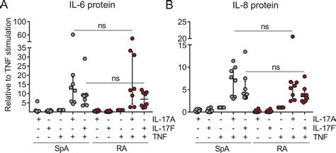 Interleukin 17a And Il 17f Expression And Functional Responses In Rheumatoid Arthritis And