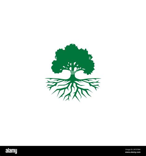 Logotipo de roble de árbol Roble vector Ilustración Árbol orgánico