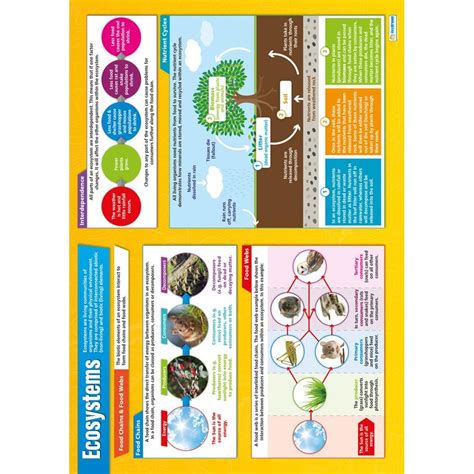 Ecosystems Poster - Daydream Education