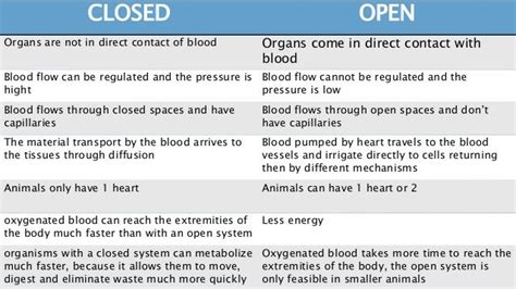 Advantages Of Open Circulatory System - barebonestory