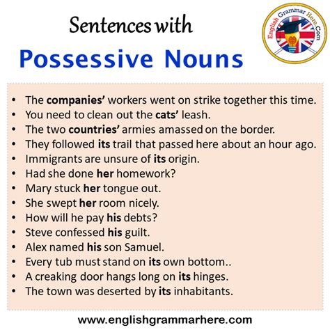 Sentences With Possessive Nouns Archives English Grammar Here