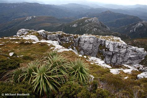 Australian Landscape Photography View From Frenchmans Cap Franklin