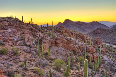 What to See and Do on a Visit to Tucson, Arizona