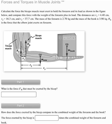 SOLVED Forces And Torques In Muscle Joints Calculate The Force The