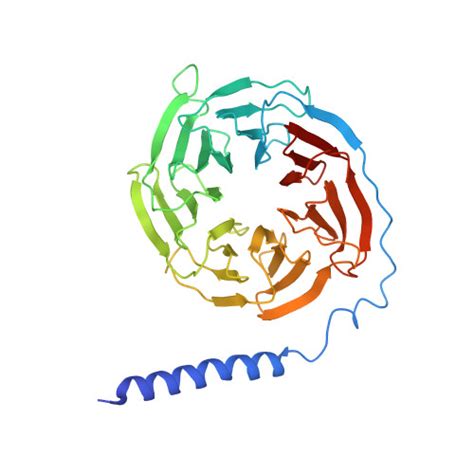 Rcsb Pdb 7joz Crystal Structure Of Dopamine D1 Receptor In Complex