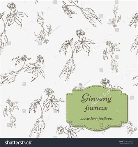 Root Leaves Panax Ginseng Seamless Pattern Stock Vector Royalty Free