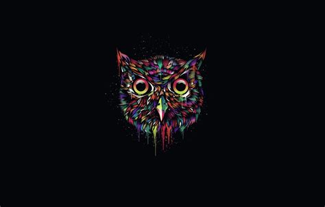 Black Owl Wallpapers - Wallpaper Cave