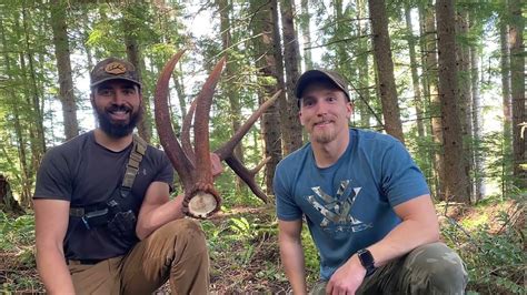 11 Sheds In The Pnw Elk Woods Youtube