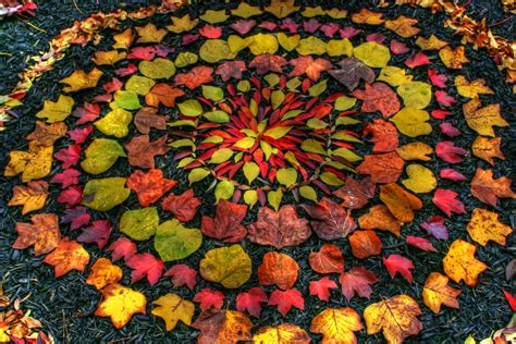 Andy Goldsworthy Fall Leaves Moss And Fog