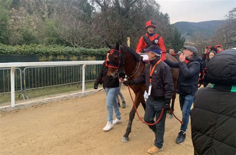 Palio Di Buti 2023 Vince La Contrada La Croce Sempione News