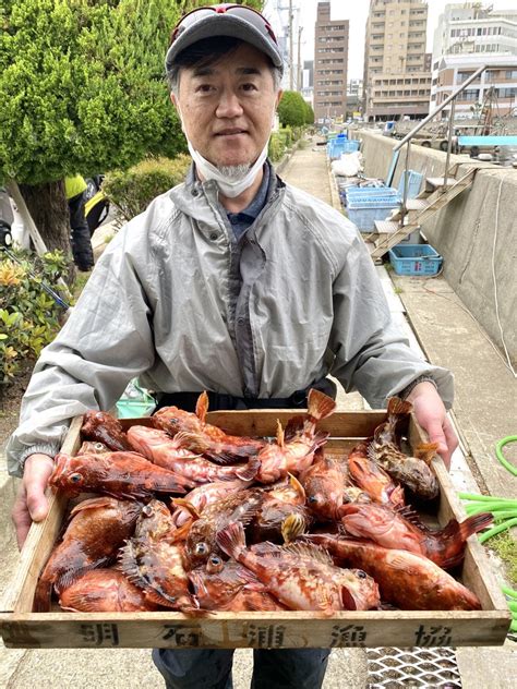 4月18日 明石沖メバル＆ガシラ釣り 名田屋 明石たこ釣り船・ブリ・メジロ・ヒラメのませ釣り船・タチウオ釣り船の釣果ブログ 明石港