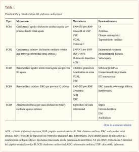 Qu Es El S Ndrome Cardiorrenal Scr Y C Mo Es Su Tratamiento