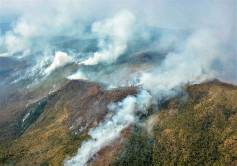 Devora Incendio 2 Mil Hectáreas De Bosques En Cuba Voz En Red