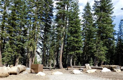 Grouse Ridge Campground Tahoe Ca 2 Hipcamper Reviews And 5 Photos Tahoe Campground Short