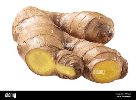 Ginger Root Zingiber Officinale Rhizome Isolated Stock Photo Alamy